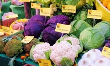 Broccoli on the face to benefit horticulturists