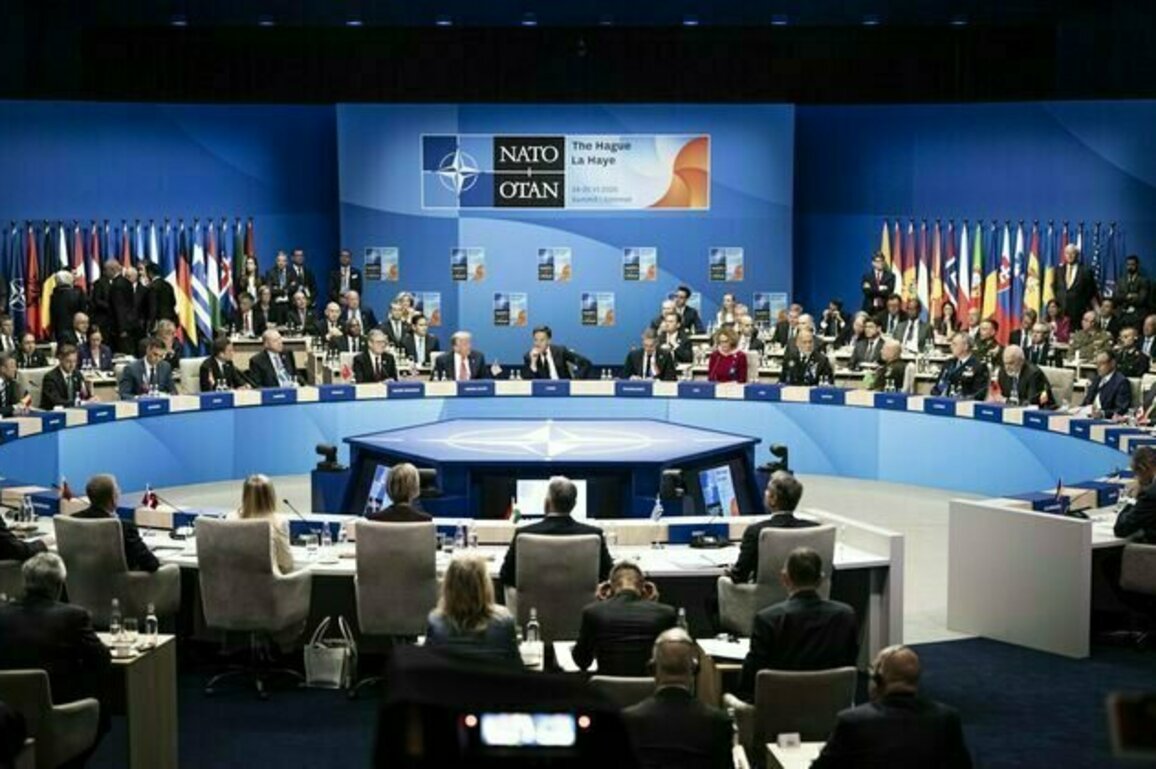 US backs Nato's latest pledge of support for Ukraine,but in reality seems to have abandoned its European partners