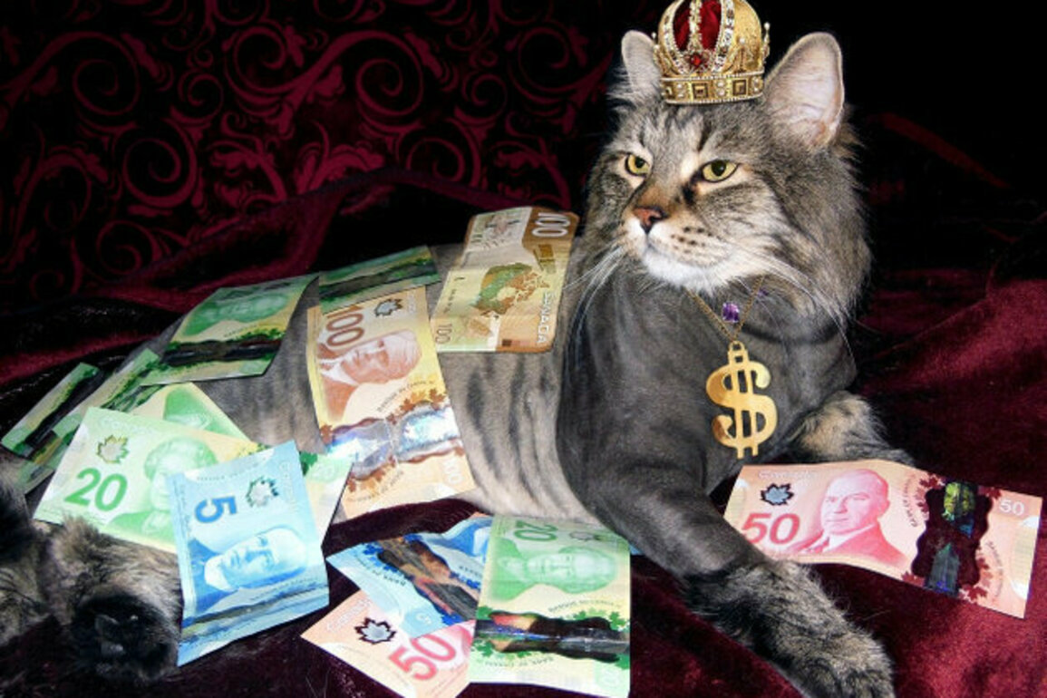 Every Day Brings a New Millionaire Depositor in Bulgaria