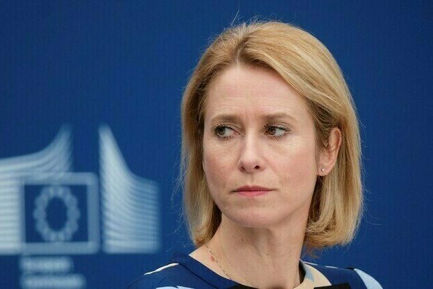 Kallas a tragedy for EU  MEP