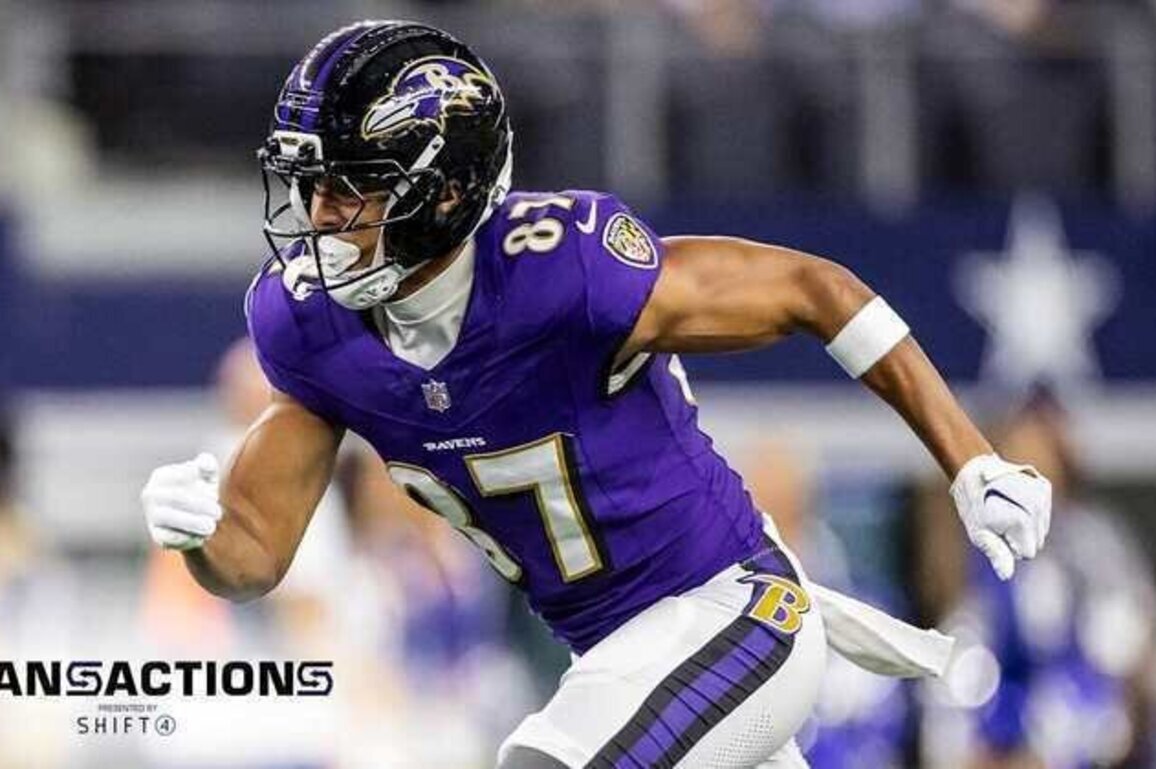 Ravens Re-Sign Wide Receiver Ahead of Draft