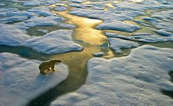 Asset managers defend role in response to IPCC climate change report 