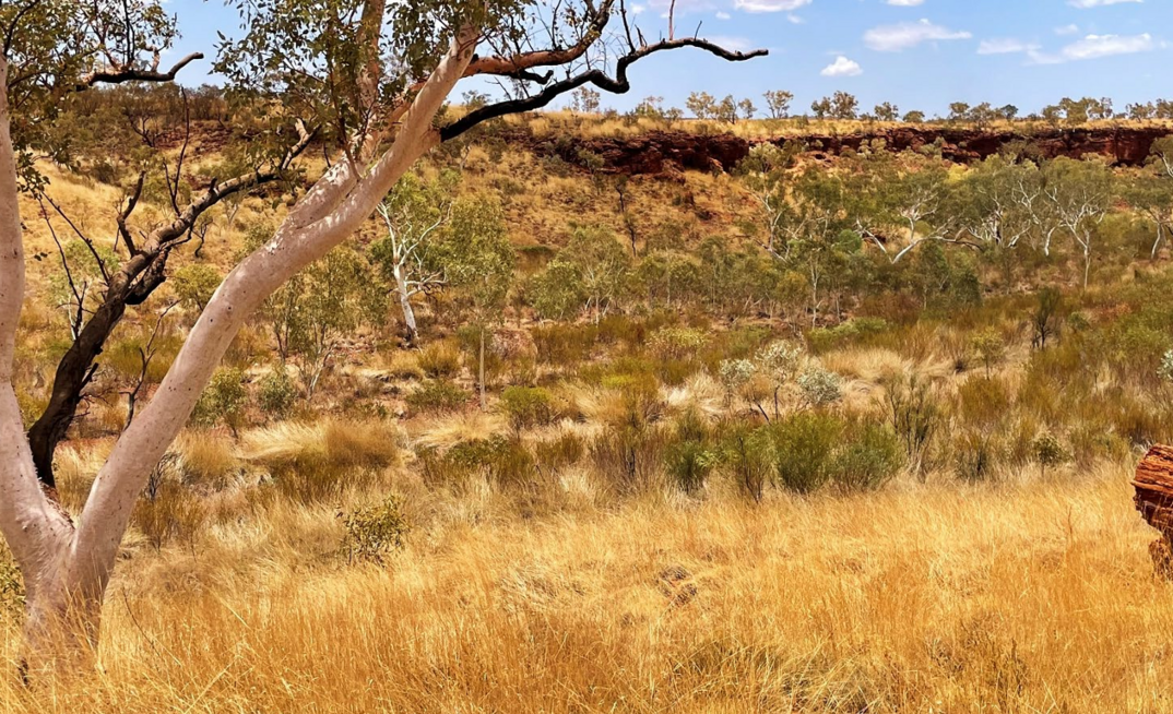 The Extension Iron Ore Project sits 270km southeast of Port Hedland.