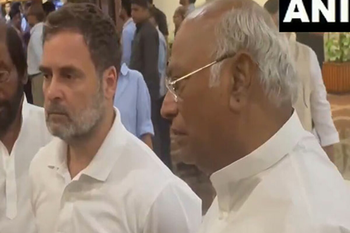 "Efforts should be made to maintain peace in J-K": Congress president Mallikarjun Kharge
