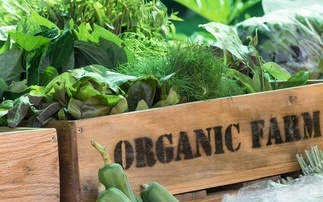 'Growth and resilience': Organic market breaks £3bn mark for first time