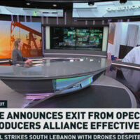 More countries 'very likely' to leave OPEC- ex-UAE diplomat to RT