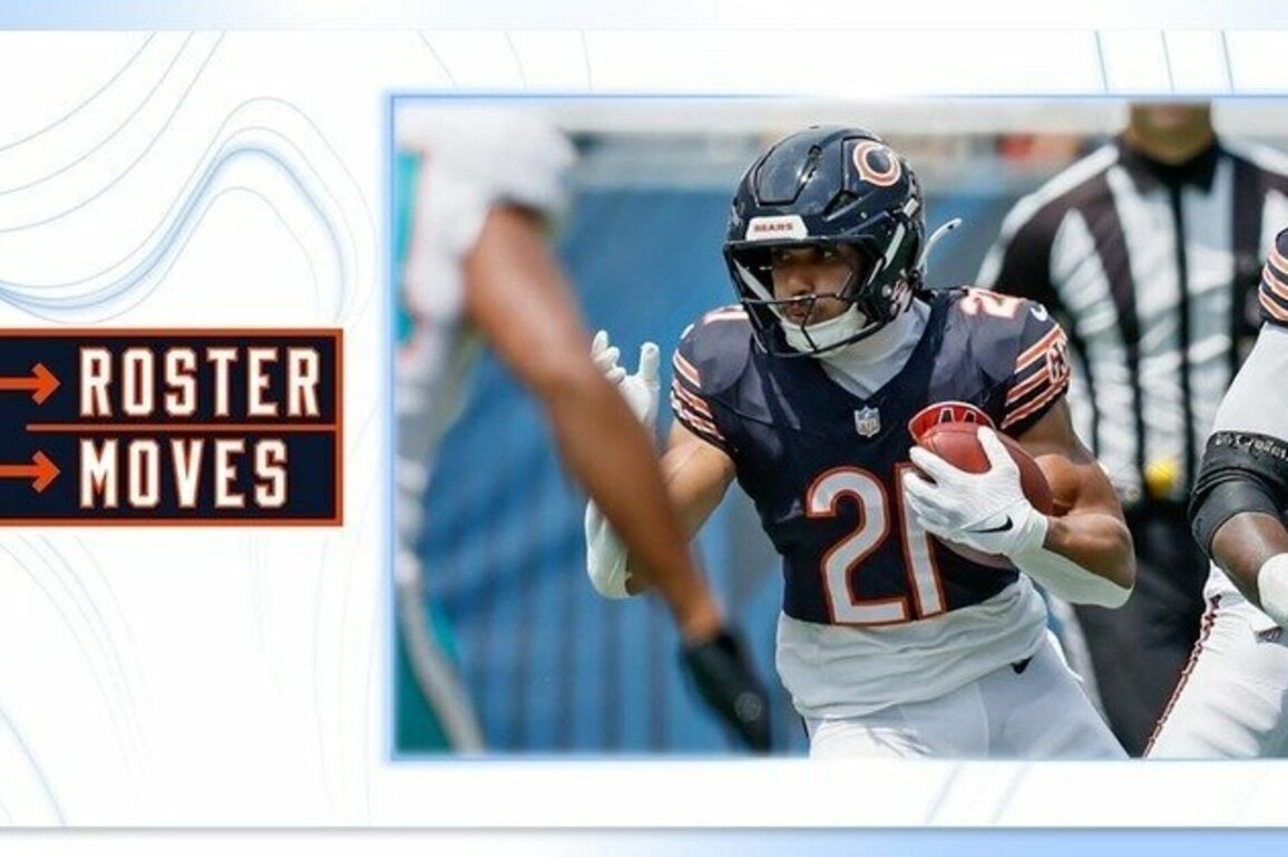Roster Moves: Chicago Bears activate Homer, elevate two