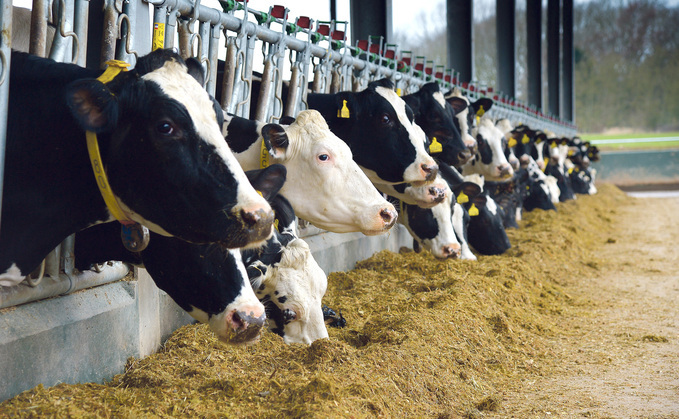 Danish researchers find no overall increase in mortality or decrease in milk yield in cows fed with Bovaer
