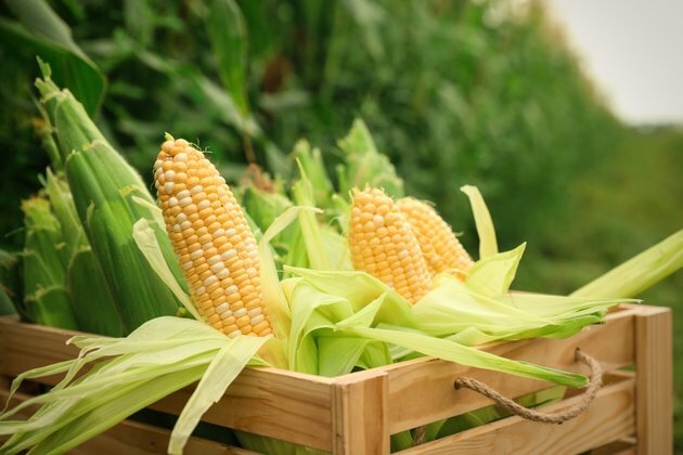 Zimbabwe had a bumper harvest: what went right and what needs work
