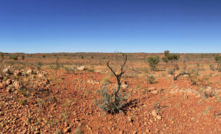 Gold country in the Pilbara region, WA