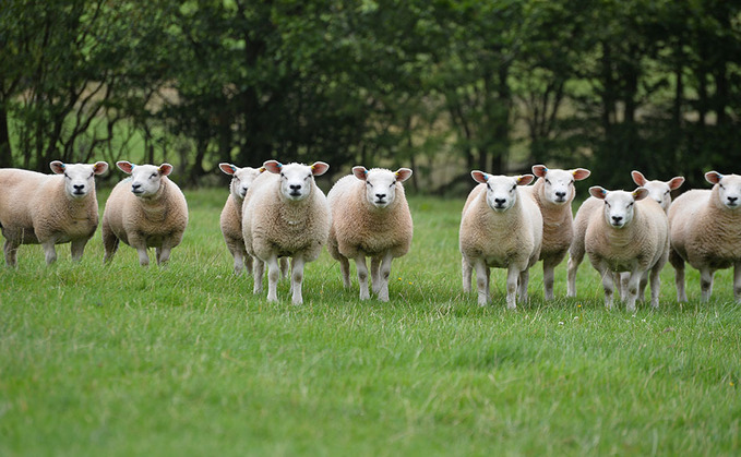 Self-sufficiency in food will undermine UK's resilience to future shocks, says academic