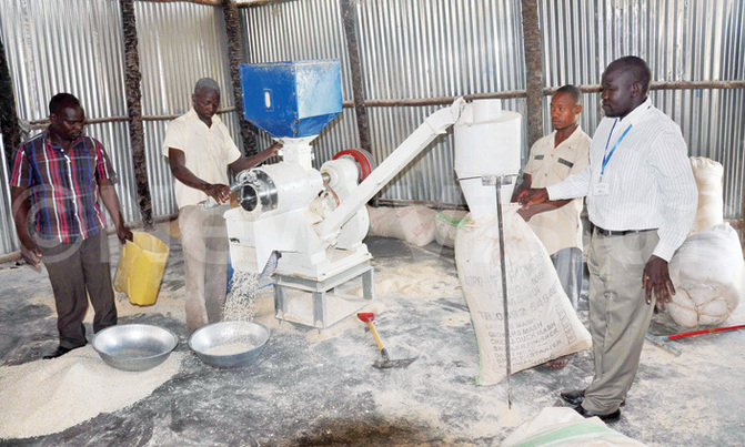 Low demand for maize flour, other commodities Low demand for maize flour, other commodities