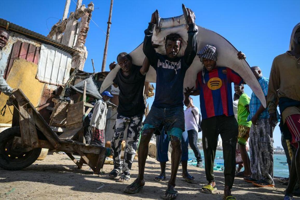 In Pics: A glimpse of life along Mogadishu's seaside