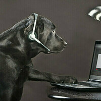 Scientists working on animal internet