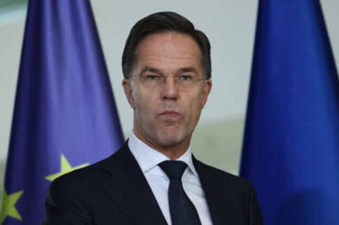 NATO's scandal-ridden boss wants war with Russia to be his next train wreck