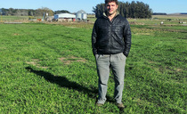 Argentinian dairy farm embraces automation and sees positive impact