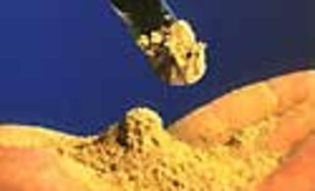 Treatment of fly ash yields safer, saleable product