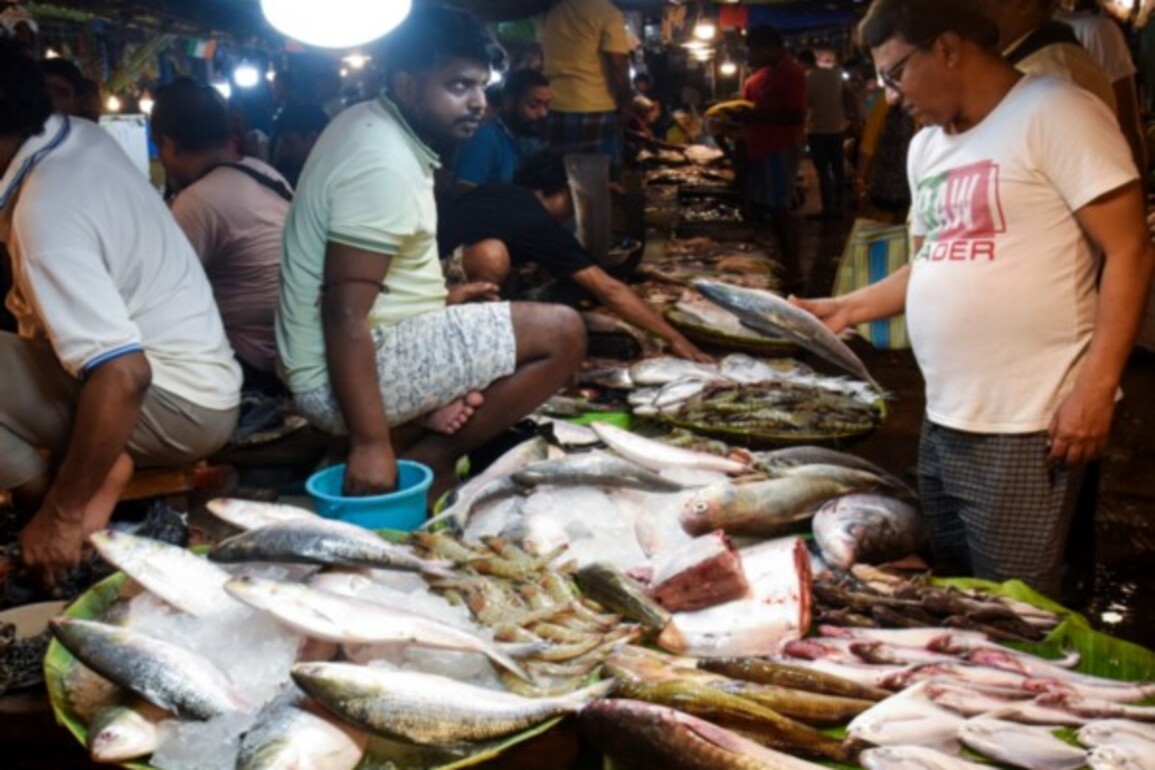Bangladesh allows export of 1,200 tonnes of Hilsa to India ahead of Durga Puja