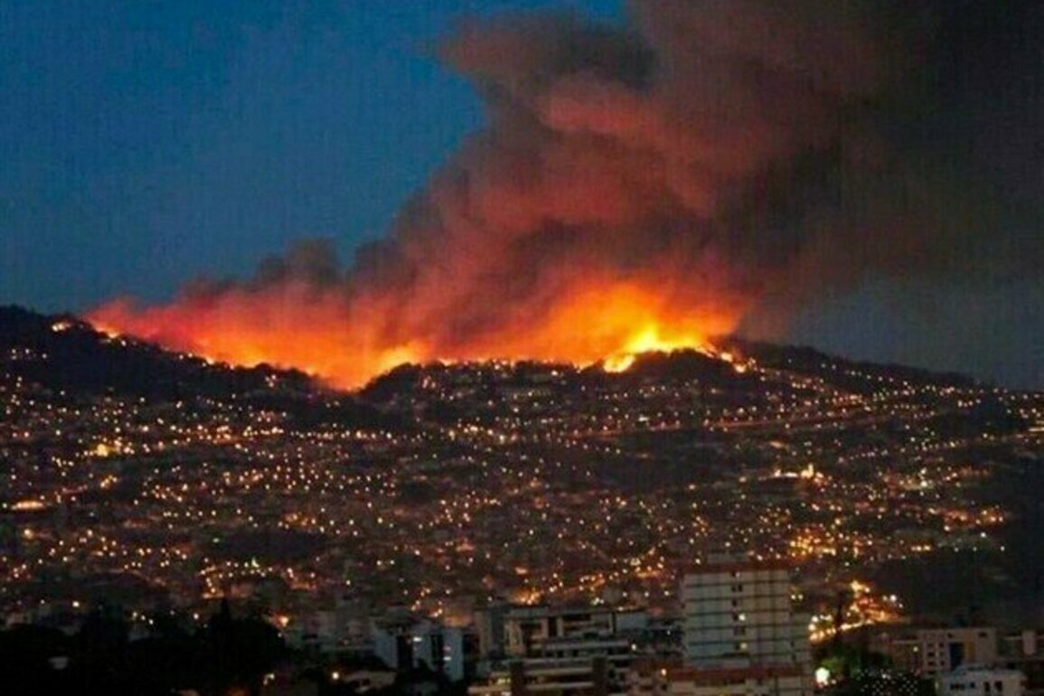 Heatwave Scorches Parts of Europe, Fans Wildfire Threat in France