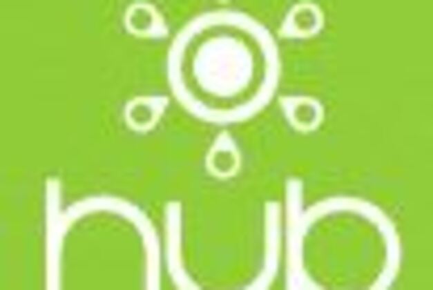 Roku and Amazon TV- OS Rising As AI Interest Grows