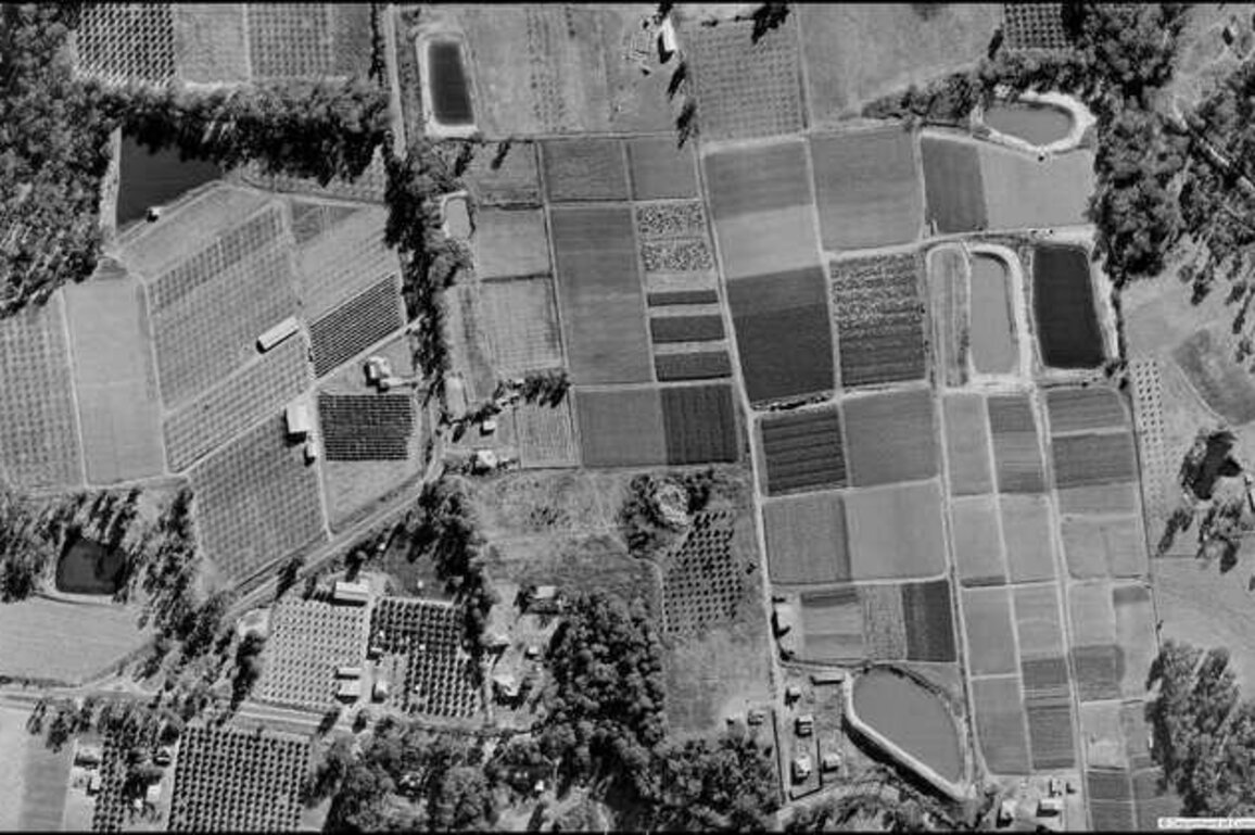 Sydney once produced its own food - but urban development has devoured the city's food bowl