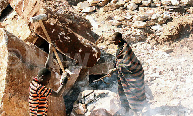 Govt sued over safety of miners Govt sued over safety of miners