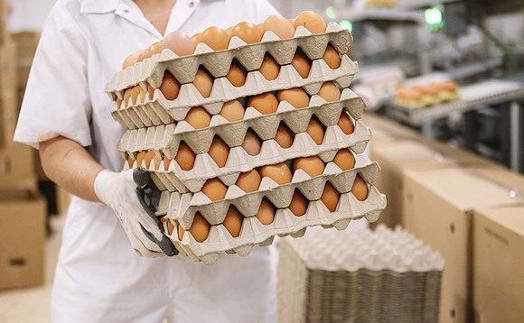 Anger as Sainsbury's imports eggs amid supply crisis