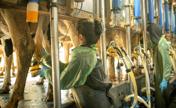 Growing Paraguay's dairy sector: Why training and development is key for future farmers