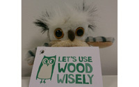 Norbord sends a parliament of owls to Parliament