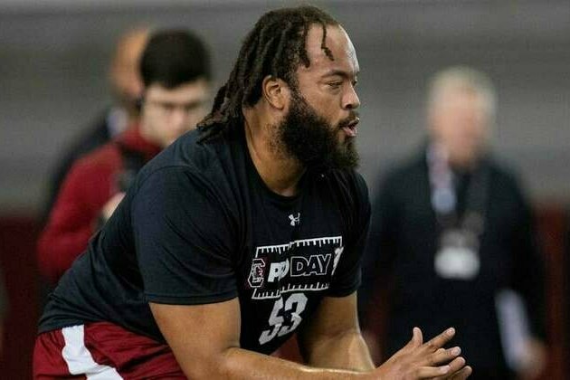 Vikings Sign Offensive Lineman Vershon Lee