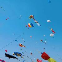 Sports Focus: Feature: From homework to hiking, China's youth step into spring through sport