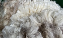 A new quality assurance standard for wool production has been announced by AWEX. Photo: Mark Saunders.