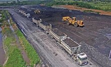 Bis at work at the Tabang coal mine in East Kalimantan.