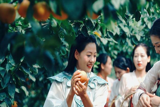 Chengwu County, Shandong Province, China: Playing to the advantage of resources to promote the integrated development of forestry industry