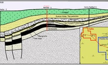  Cross section of geology of Petrel's exploration campaign.