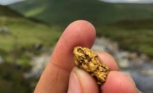 A gold nugget from Erris Resources' Loch Tay prospect in Scotland