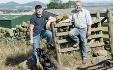 SHEEP SPECIAL: North Country Cheviot central to commercial breeding enterprise