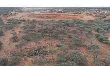 Outcroping hematite at Sandstone. Credit: Aurumin.