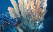Nautilus Minerals underwater