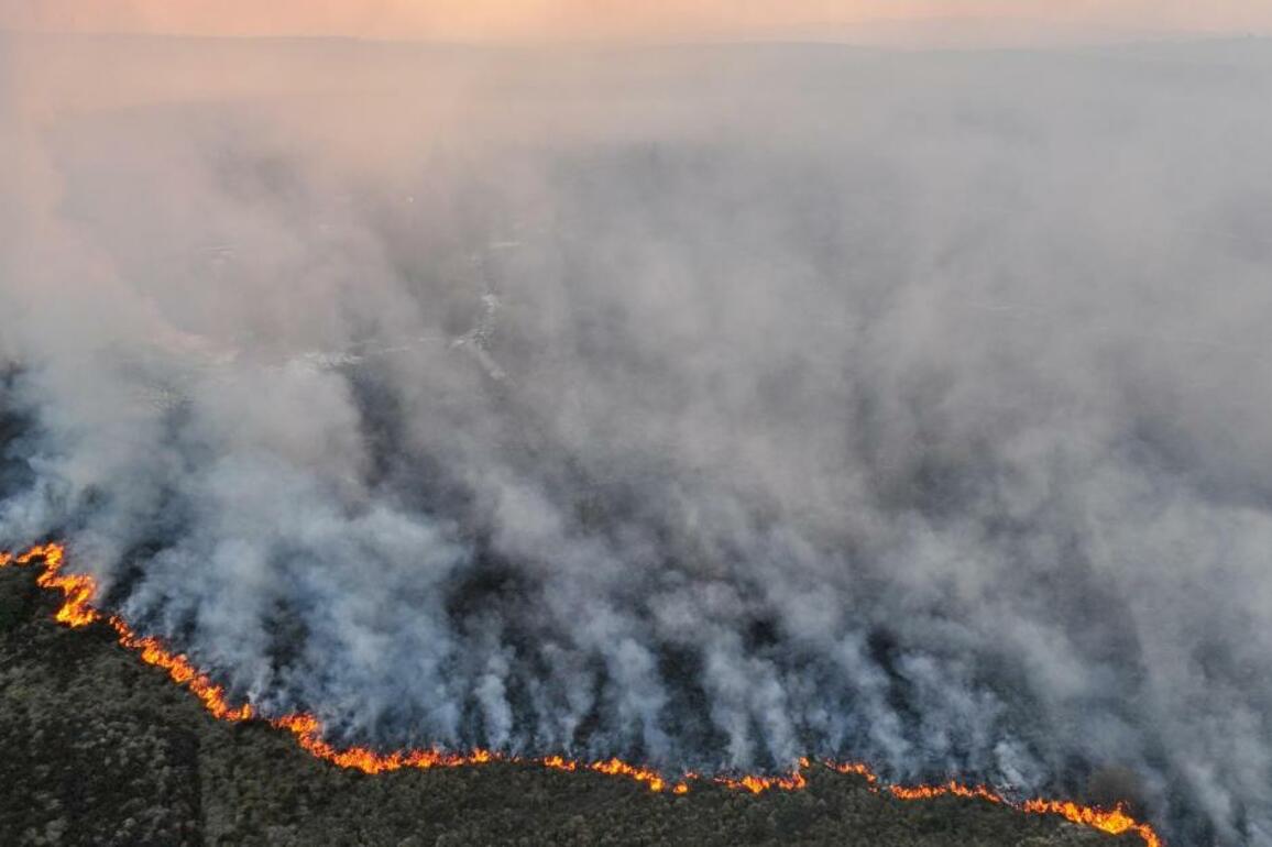 'Deliberate'- Wildfire sees 25 acres of gorse destroyed