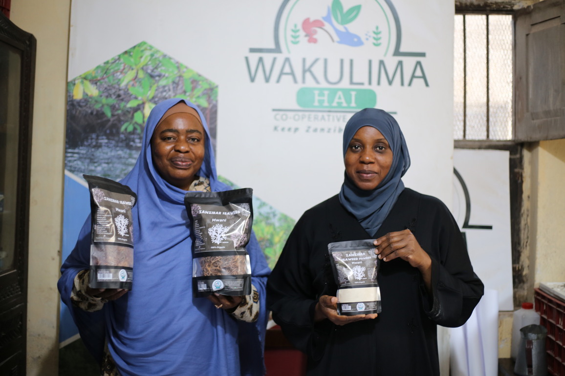 TANZANIA-ZANZIBAR-SEAWEED INDUSTRY-FEMALE SEAWEED FARMERS