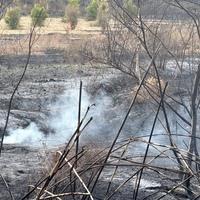 SYRIA-LATAKIA-WILDFIRES