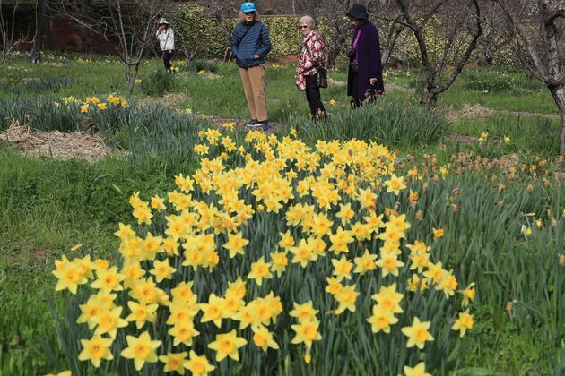 U.S.-CALIFORNIA-SAN FRANCISCO BAY AREA-SPRING SCENERY