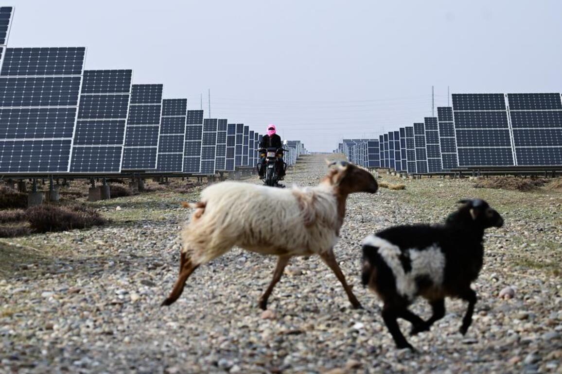 Sun, wind, prosperity: How China's green transition is reshaping rural lives