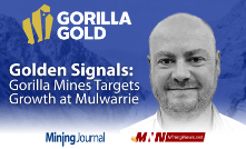 Golden Signals: Gorilla Mines Targets Growth at Mulwarrie