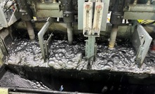 Metallurgical tests for the graphite have been promising.