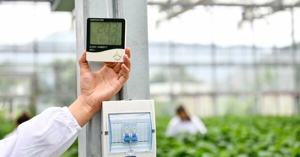 Digital tech empowers rural revitalization in mountainous areas