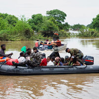 Floods push crocodiles into towns across Mozambique
