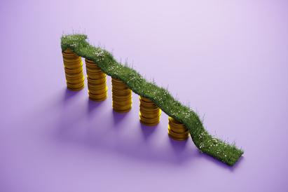 Decoding ESG discrepancies