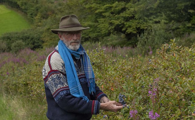 How an abandoned crop led the way to blueberry farming success on Exmoor
